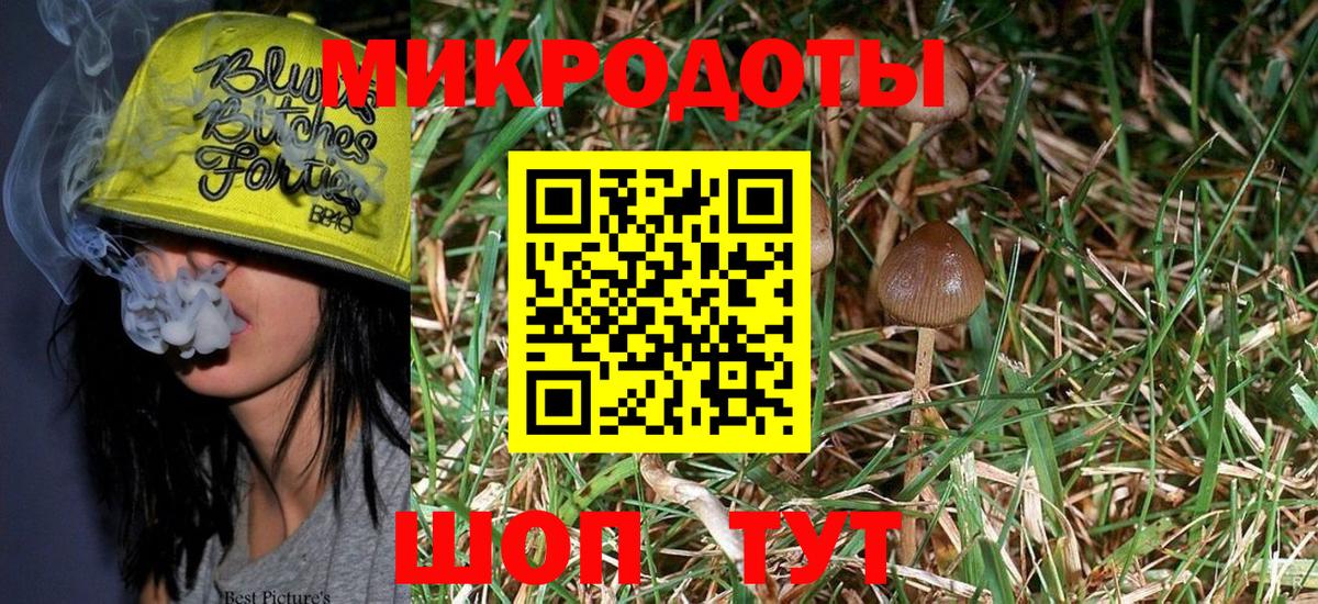Галлюциногенные грибы Cubensis Еманжелинск